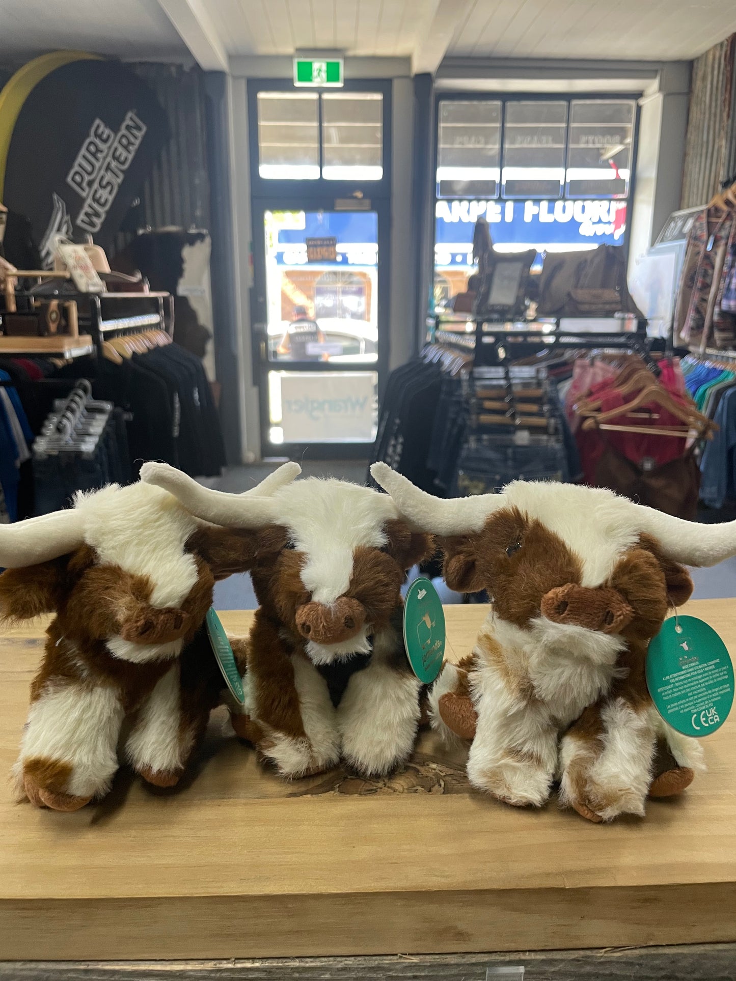 LONGHORN Plush Toy Medium