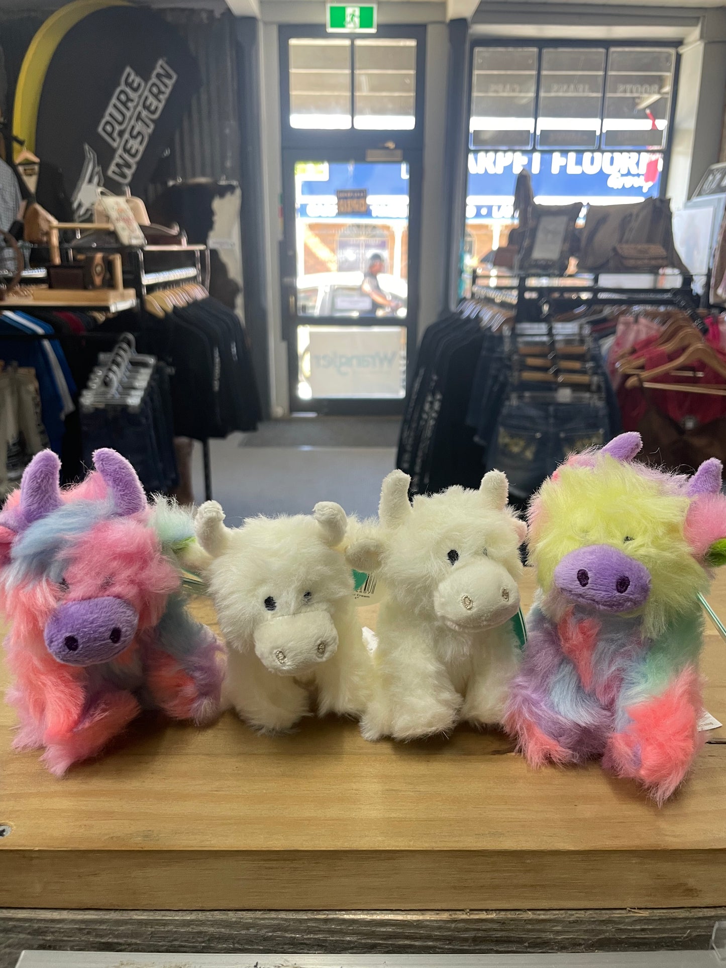 LONGHORN Plush Toy Small