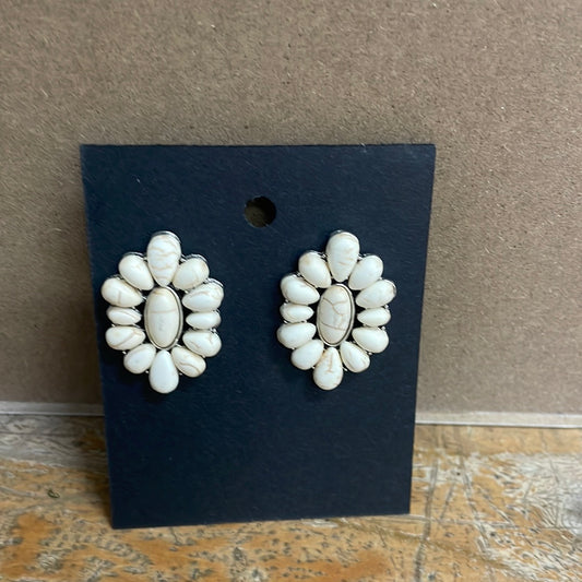 Earrings -  24