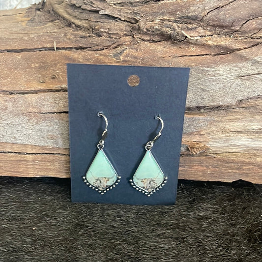 Earrings - 19